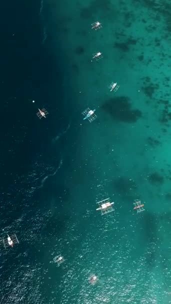ターコイズの水と太陽の反射 サマル島の白砂浜 フィリピン ダバオ 垂直ビュー — ストック動画