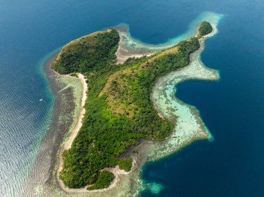 Turkuaz su ve mercan resifleri olan Dimanglet Adası. Coron, Palawan. Filipinler.