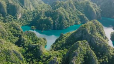 Coron, Palawan 'daki Kayangan Gölü' nde bulunan muhteşem kireçtaşı kayaları. Filipinler.