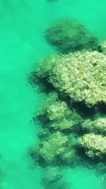 Wasserstruktur Meeresboden Und Korallen Klares Wasser Und Reflexion Des Sonnenlichts — Stockvideo