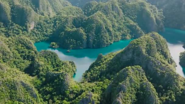 Espléndidas Rocas Piedra Caliza Rodeadas Lago Kayangan Coron Palawan Filipinas — Vídeos de Stock