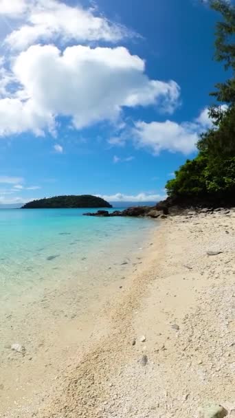 Tropisch Strand Met Kokospalmen Kristalhelder Zeewater Romblon Eiland Filippijnen Verticaal — Stockvideo