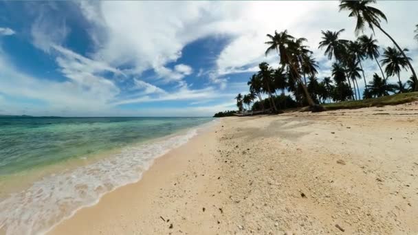Linia Brzegowa Kokosami Piaszczysta Plaża Falami Wyspa Carabao Romblon Filipiny — Wideo stockowe