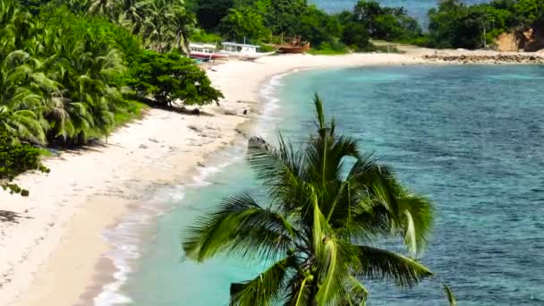 Plaża Kokosami Falami Morskimi Białym Piasku Coron Palawan Słucham Filipiny — Wideo stockowe