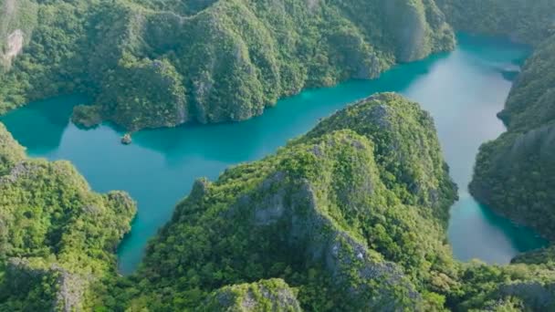 Paisaje Tropical Lago Montaña Con Rocas Calizas Lago Kayangan Coron — Vídeos de Stock