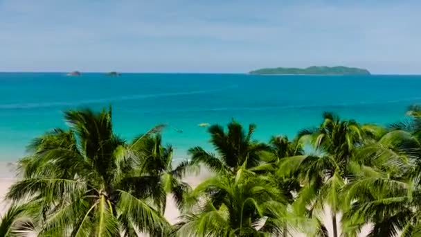 Fliegen Über Die Palmen Nacpan Beach Meereswellen Sandiger Küste Nido — Stockvideo