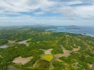 Yeşil tepeleri ve çeltik tarlaları olan Tropcial Adası. Santa Fe, Tablas, Romblon. Filipinler.