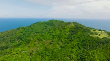 Cobrador Adası 'nda yeşil bitki ve ağaçlarla kaplı bir dağ manzarası. Romblon, Filipinler.