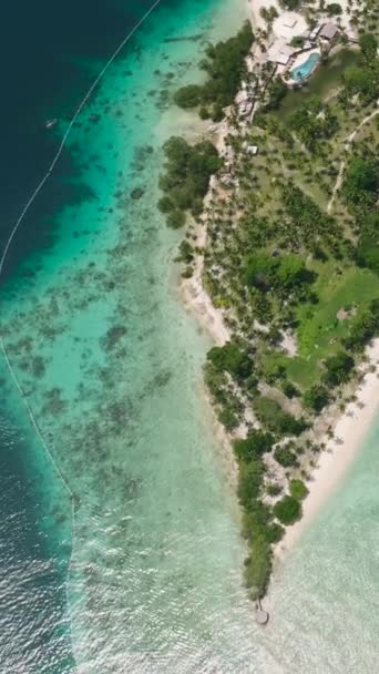 Sahili Palmiye Ağaçları Olan Bir Ada Güneş Işığı Yansıması Olan — Stok video