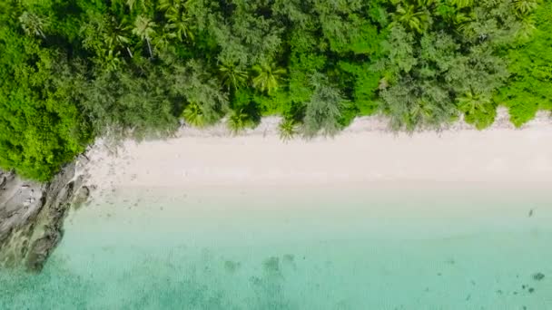 Тропический Пляж Волнами Белом Песке Ромблон Филиппины — стоковое видео