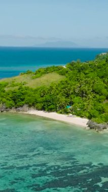 Cobrador Adası 'nda saydam turkuaz deniz suyu ve mercanlar. Romblon, Filipinler. Dikey görünüm.