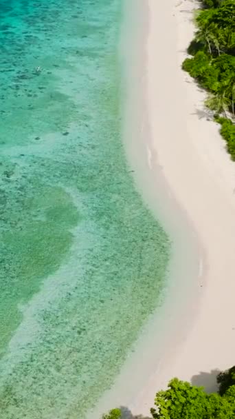 Okyanus Dalgaları Beyaz Kumsala Çarpıyor Cobrador Adası Romblon Filipinler Dikey — Stok video