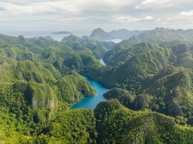 Koron 'daki Kayangan Gölü çevresinde yeşil bitkiler bulunan tropik bir dağ. Palawan, Filipinler.