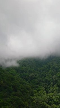 Camiguin Adası 'nda yeşil ormanı ve tepesi olan bir dağ. Filipinler. Dikey video.