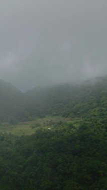 Camiguin Adası 'ndaki yağmur ormanlarındaki sisli dağ manzarası. Filipinler. Dikey video.