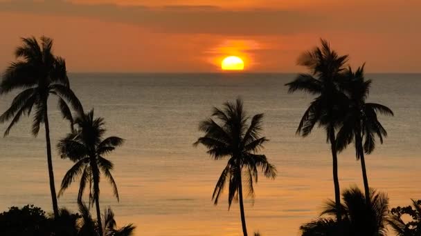 Prachtige Zonsondergang Tropisch Strand Met Palmbomen Santa Tablas Romblon Filippijnen — Stockvideo