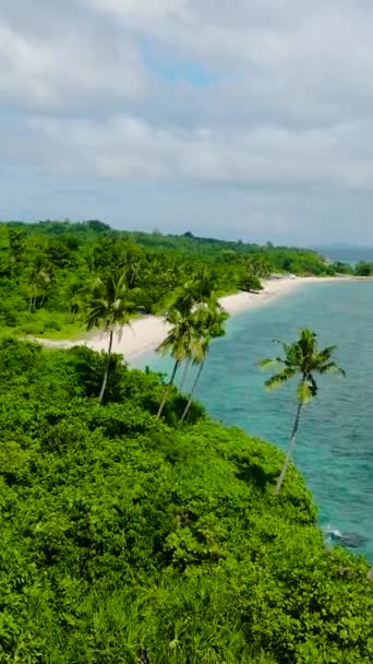 Tropikalna Plaża Drzewami Kokosowymi Przejrzystą Turkusową Wodą Wyspie Carabao Romblon — Wideo stockowe