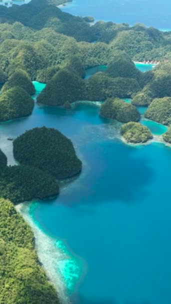 Szczyt Zatoki Sohoton Piękny Las Deszczowy Laguny Tropikalnej Wyspy Wyspa — Wideo stockowe
