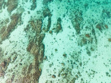 Turkuaz su dokusu ve tropikal mercan resifli deniz tabanı. Santa Fe, Tablas, Romblon. Filipinler.