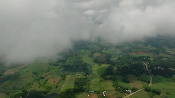 Туманы Облака Над Тропическими Сельхозугодьями Рисовыми Полями Минданао Филиппины — стоковое видео