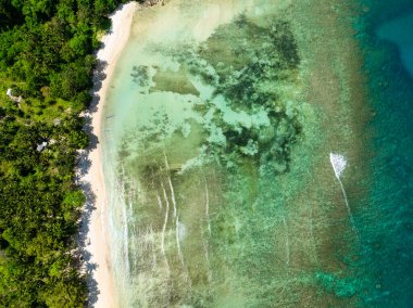 Tropikal sahilde okyanus dalgaları ve berrak deniz suyu. El Nido, Palawan. Filipinler.