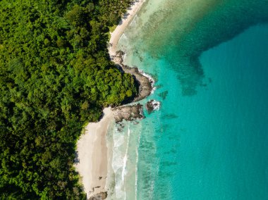 Kumların üzerinde dalgalar olan tropik bir sahil. Turkuaz berrak deniz suyu. El Nido, Filipinler.