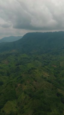 Dağ vadisi ve yeşil tepelerin tropik manzarası. Mindanao, Filipinler. Dikey görünüm.