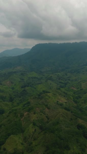 Dağ Vadisi Yeşil Tepelerin Tropik Manzarası Mindanao Filipinler Dikey Görünüm — Stok video