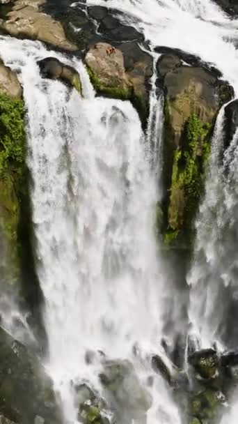 Вид Водопад Среди Тропических Джунглей Зелеными Растениями Деревьями Лимунсуданский Водопад — стоковое видео
