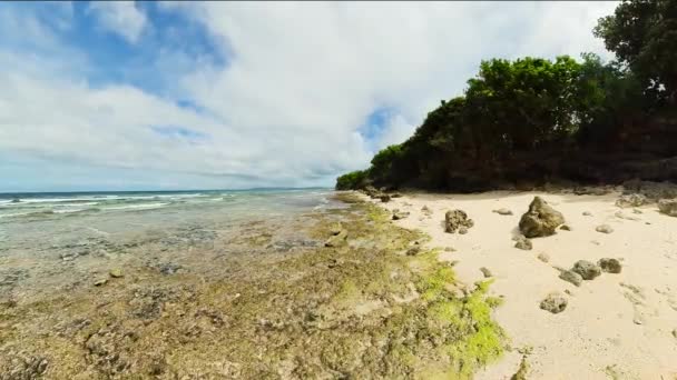 Romblon Filipinler Deki Palmiye Ağaçlarıyla Sahile Vuran Berrak Dalgalar — Stok video