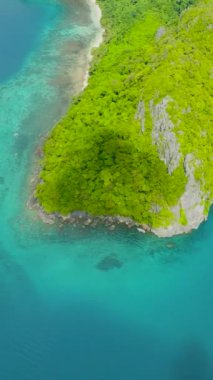 Beyaz kum plajı ve mavi denizi olan tropik bir ada. Adanın üzerindeki yeşil orman. El Nido, Filipinler. Dikey görünüm.