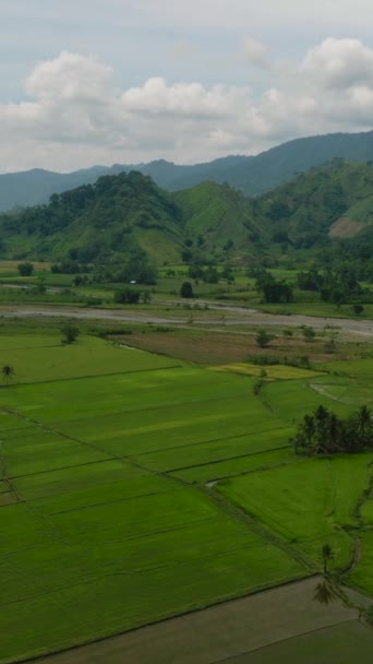 Grunty Rolne Rzeki Nad Górską Prowincją Niebieskie Niebo Chmury Mindanao — Wideo stockowe