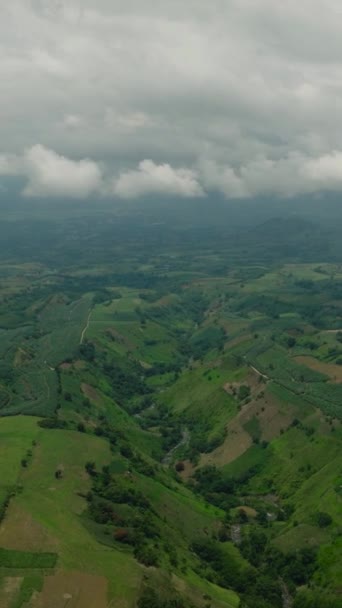 Campos Agrícolas Con Campos Verdes Valle Provincia Montaña Bukidnon Mindanao — Vídeo de stock