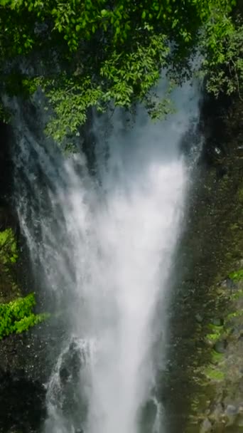 Alalum Falls Auf Den Philippinen Wasserfälle Umgeben Von Sattgrünem Wald — Stockvideo