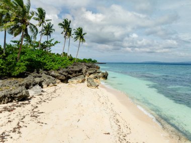 Carabao Adası 'nda hindistan cevizi ağaçları ve kumlu plaj. Mavi gökyüzü ve bulutlar. Romblon. Filipinler.