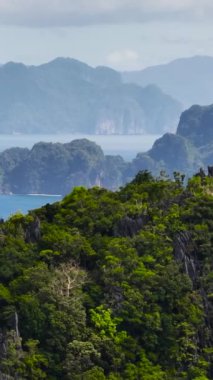 El Nido, Palawan 'da mavi denizi olan yeşil ağaçlar ve kireçtaşı dağı. Filipinler. Dikey görünüm.