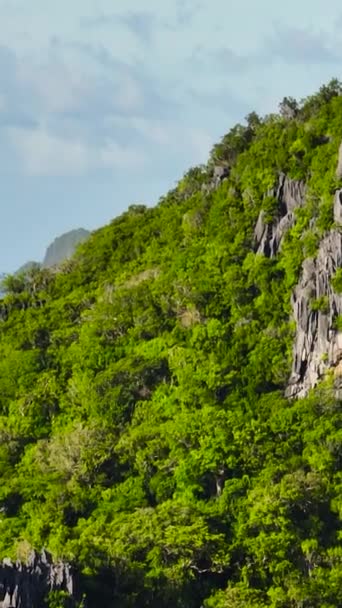 Montaña Con Plantas Verdes Rocas Calizas Nido Palawan Filipinas Vista — Vídeos de Stock