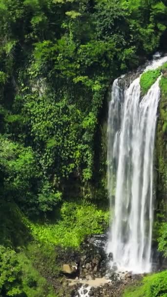 Cascade Înconjurate Pădure Tropicală Cascada Lasang Țara Galilor Filipine Vertical — Videoclip de stoc