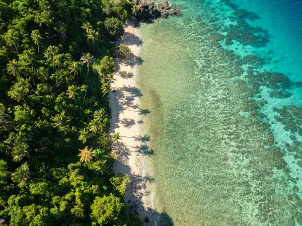 Hindistan cevizi ağaçlı plaj ve güneş yansımalı beyaz kum. Romblon, Romblon 'daki Bang-og Adası. Filipinler.