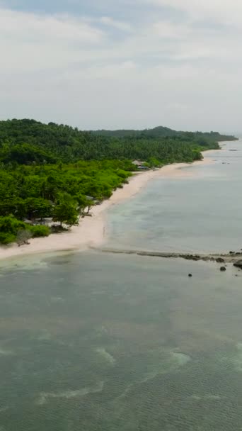 サンタフェ タブラス ロムブロンにあるビーチリゾートで美しい白砂とサンゴ礁 フィリピン 垂直ビュー — ストック動画