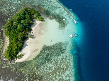 Yeşil bitkileri ve kumlu plajı olan güzel bir ada. Coron, Palawan 'daki CYC Plajı. Filipinler.