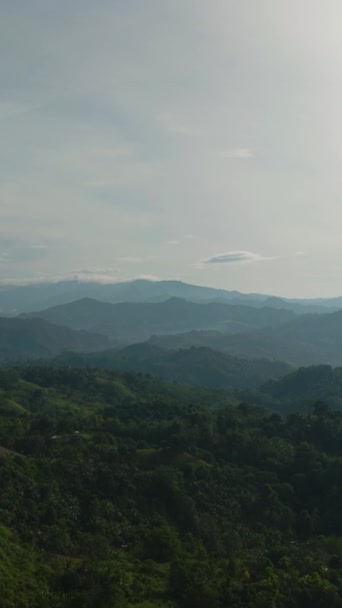 Τροπικό Δάσος Στην Ορεινή Επαρχία Των Φιλιππίνων Μιντανάο Κάθετη Προβολή — Αρχείο Βίντεο