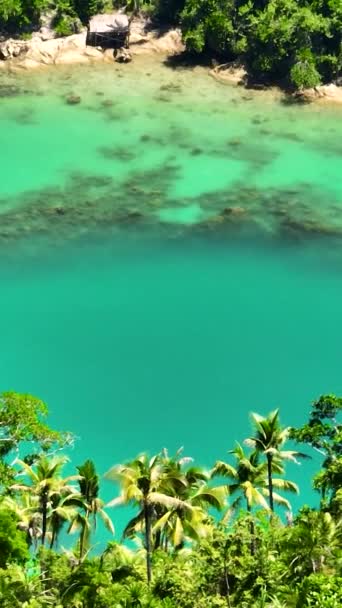 티나고 투명한 청록색 물이있는 필리핀입니다 확대보기 이야기 — 비디오