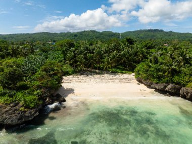 Yeşil okyanus dalgası Carabao Adası 'ndaki kumlu sahilde kayalara çarpıyor. Romblon, Filipinler.