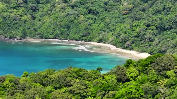 Playa Tropical Con Olas Del Océano Agua Mar Turquesa Nido — Vídeos de Stock