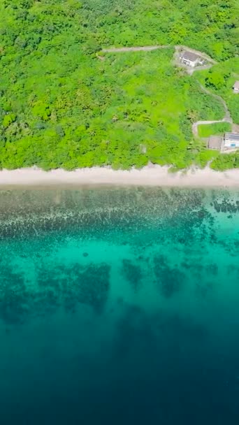 Krajobraz Przyrodniczy Obszaru Wybrzeża Zieloną Wodą Plażą Carabao Island San — Wideo stockowe