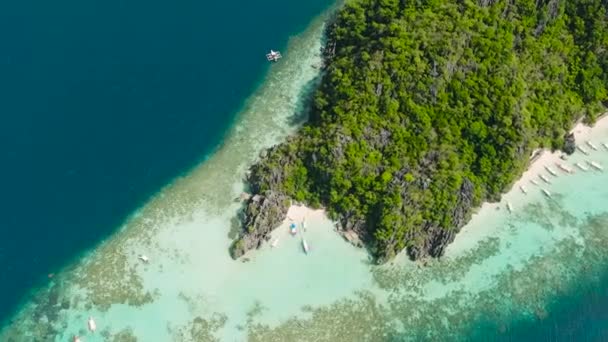 Mavi Denizde Yüzen Palawan Coron Daki Banul Sahili Yakınlarında Yüzen — Stok video