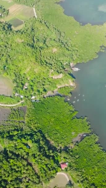 Вид Остров Фермы Санта Таблас Ромблон Филиппины Вертикальный Вид — стоковое видео