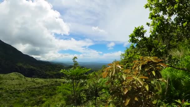 Plantas Verdes Árboles Pico Montaña Negros Oriental Filipinas — Vídeos de Stock