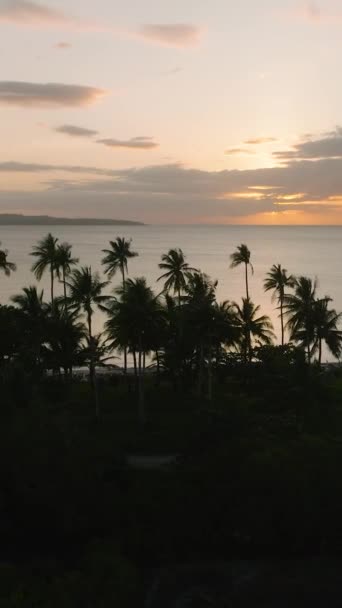 Tropical Island Mit Kokospalmen Abenddämmerung Santa Tablas Romblon Philippinen Vertikale — Stockvideo